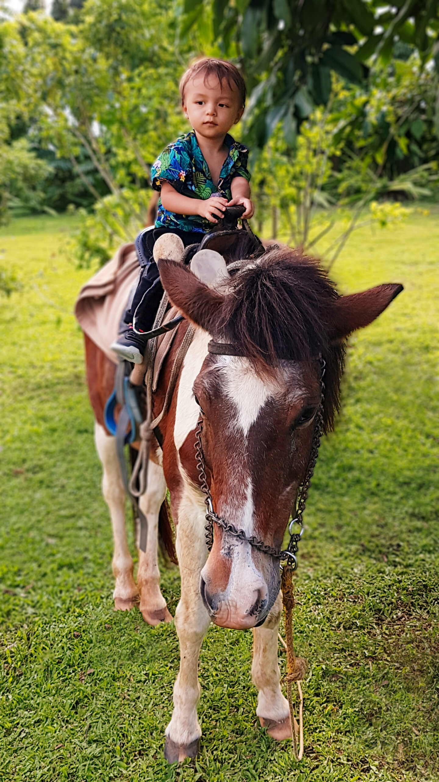 Horseback riding