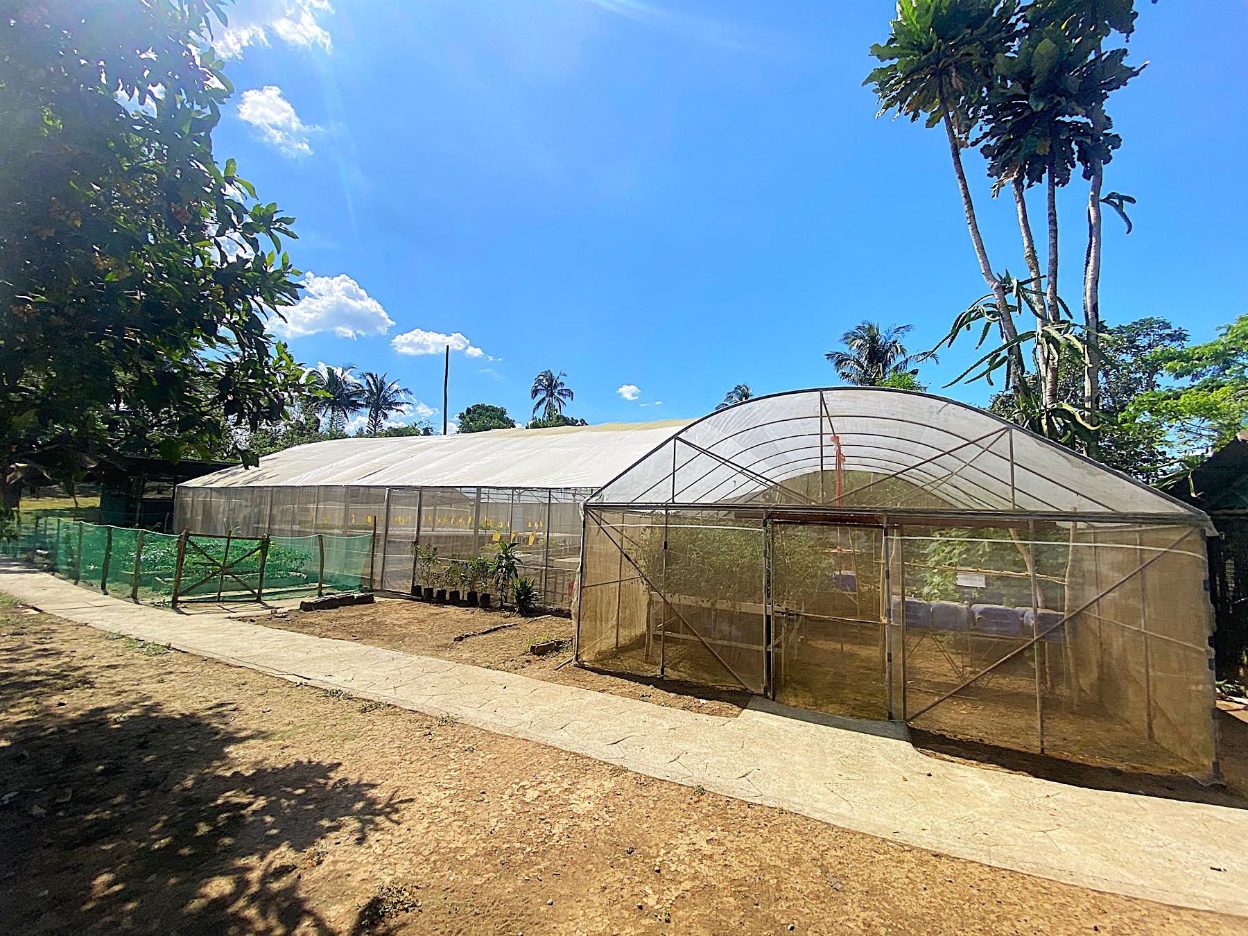 Hydroponics